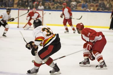 Hartford Wolf Pack