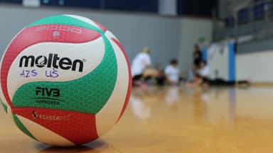 Oakland University Golden Grizzlies Volleyball